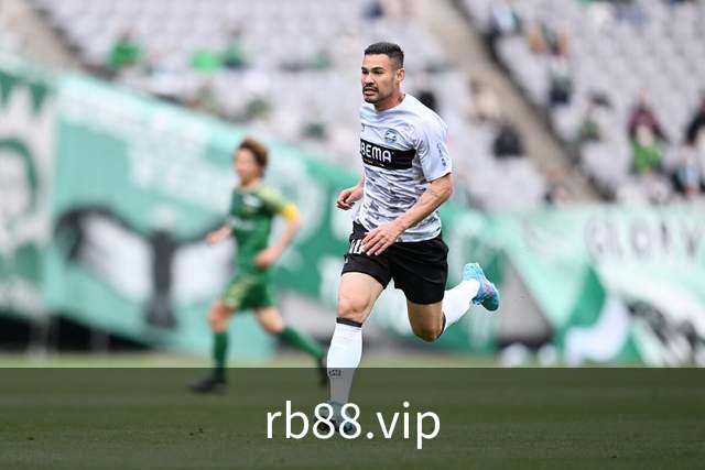 rb88.vip公司简介